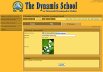 dynamis